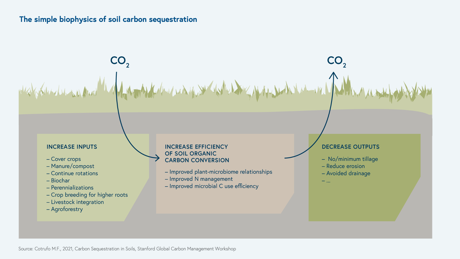 Carbon Sequestration