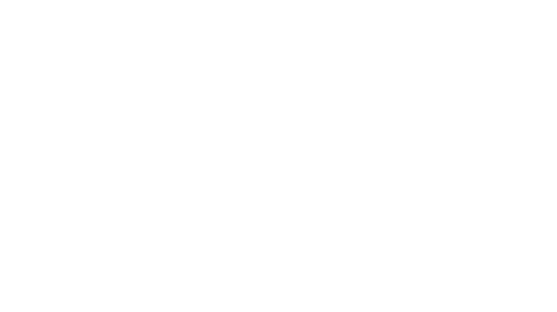 Lumachain logo in white