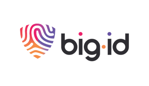 big id company logo