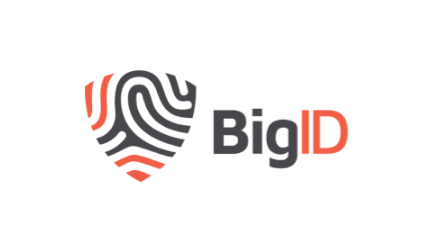 Big ID logo