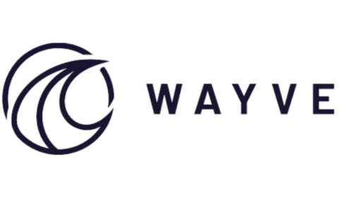 Wayve logo in black