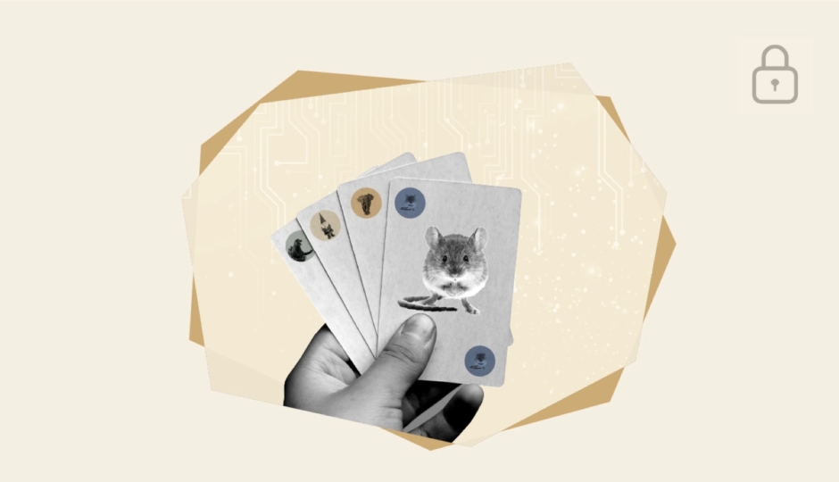 illustrative graphic of hands holding cards with animals on them